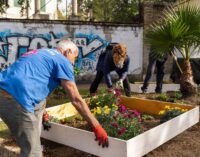 A ROMA NASCE UN’OASI FIORITA IN COLLABORAZIONE CON “RETAKE”