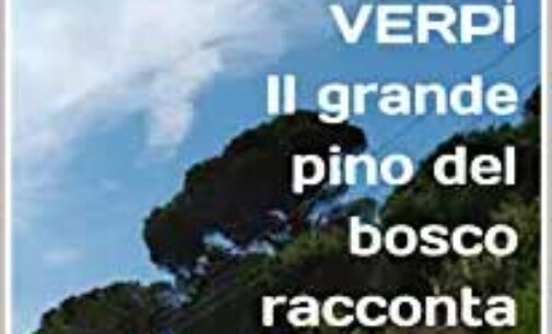 VERPÌ Il grande pino del bosco racconta: Favole 