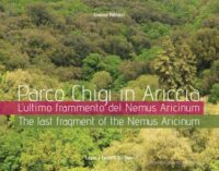 “Parco Chigi in Ariccia – L’ultimo frammento del Nemus Aricinum”, ‘magiche’ fotografie di Gianna Petrucci