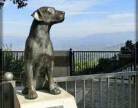 Monte Porzio Catone. Tocco, l’amico degli umani