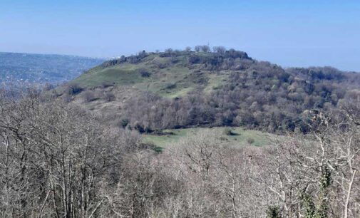 E’ “L’AMBIENTE TRA COSTITUZIONE E CODICE PENALE”.