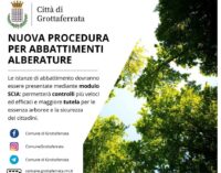 Grottaferrata: un nuovo strumento per la tutela degli alberi