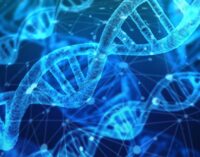 CONSERVARE IL DNA ALLA NASCITA 