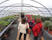 Celebrata nel campus FEM la giornata della biodiversità agricola