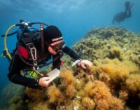 “C’È DI MEZZO IL MARE”, TAPPA A SAN FELICE CIRCEO (LT)  PER LA SPEDIZIONE DI GREENPEACE IN DIFESA DEL MEDITERRANEO 