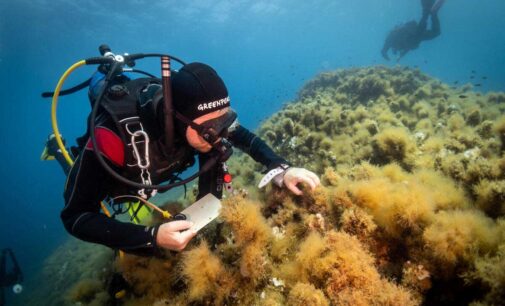 “C’È DI MEZZO IL MARE”, TAPPA A SAN FELICE CIRCEO (LT)  PER LA SPEDIZIONE DI GREENPEACE IN DIFESA DEL MEDITERRANEO 