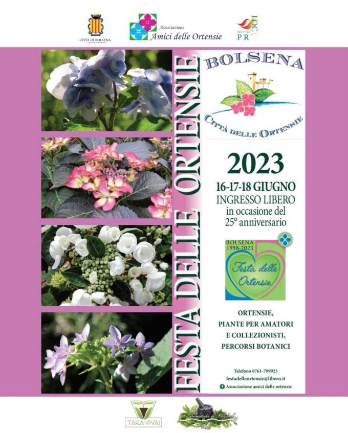 Tutto pronto a Bolsena la venticinquesima edizione  della Festa delle Ortensie