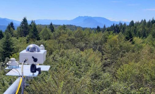 Parte con FEM il monitoraggio delle foreste più remote del pianeta