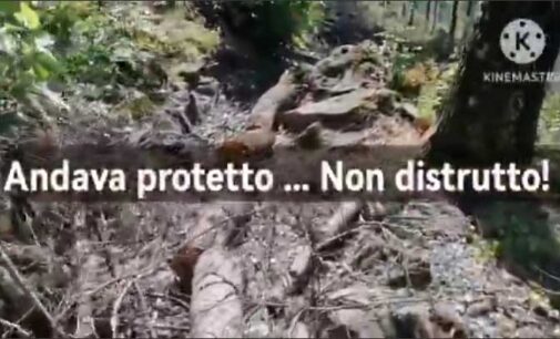 Andava protetto non distrutto