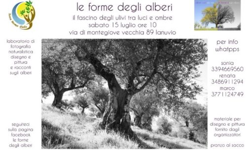 “Le forme degli alberi”: giornata fotografica a Montegiove, Lanuvio