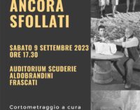 A Frascati la proiezione del corto “Ancora… sfollati”