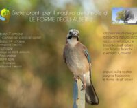 dal 7 ottobre: “Le forme degli alberi” della Ass.ne “Terra Uomo Cielo” tra fotografia, disegno e racconto…