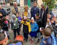 Genzano celebra la Giornata nazionale degli alberi