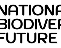 COP 28  l’appello degli scienziati del National Biodiversity Future Center