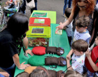 Domenica 26 maggio al Bioparco una giornata con Millepiedi, Insetti & Co.