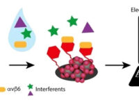 Università Federico II Dal Dipartimento di Farmacia un altro passo verso la biopsia liquida su chip per la gestione del cancro