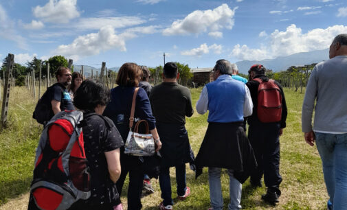 Seconda passeggiata No Bretella