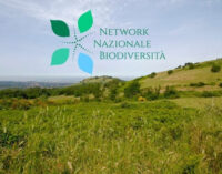 Adesione del Parco al Network Nazionale della Biodiversità