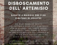 SABATO 4 MAGGIO PASSEGGIATA SU CIO’ CHE RIMANE DEL MONTE ARTEMISIO