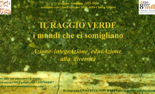 PROGETTO IL RAGGIO VERDE ARTEMISTA