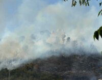 Incendio Monte Mario. Una ferita nel cuore di Roma