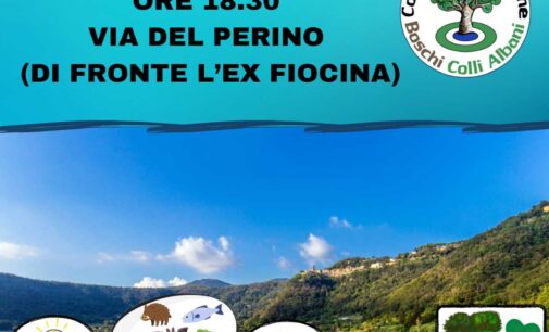 I LAGHI IN LOTTA: IL LAGO DI NEMI AL CENTRO DI SPECULAZIONI ECONOMICHE