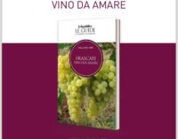 Frascati Vino da amare