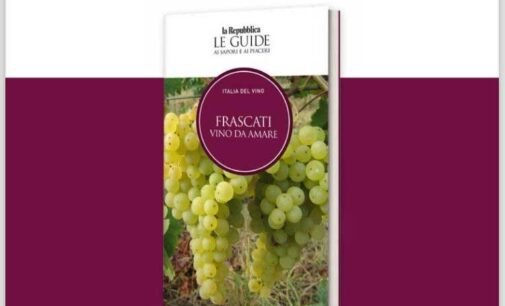 Frascati Vino da amare