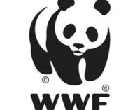 Riflessione del WWF Marche sulle cause delle gravi alluvioni di questi giorni