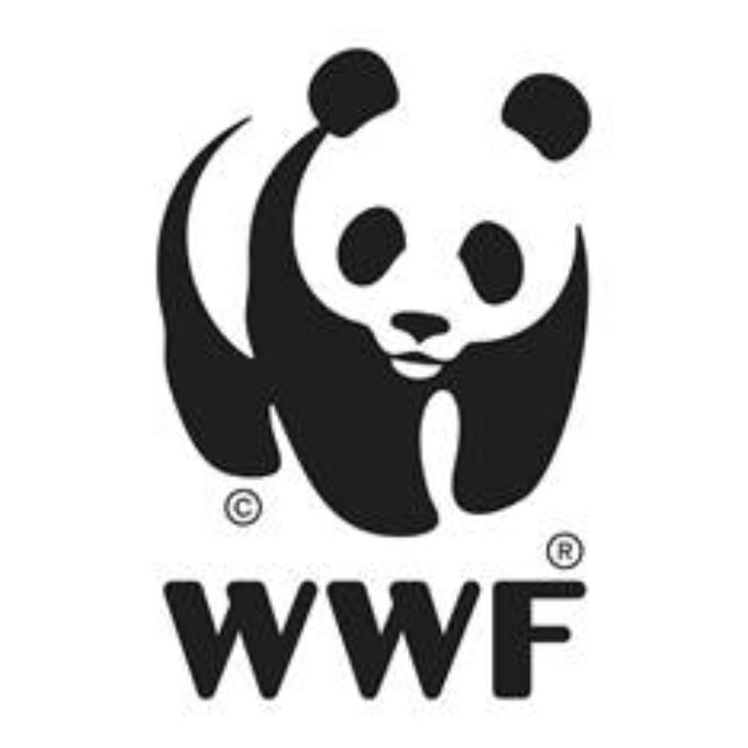 Riflessione del WWF Marche sulle cause delle gravi alluvioni di questi giorni