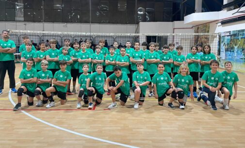 Marino Pallavolo (Under 13 masch.), Rizza: “I nostri gruppi pronti all’esordio, c’è entusiasmo”