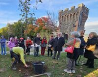 ROCCA DI PAPA, FESTA DEGLI ALBERI: MESSO A DIMORA NEI GIARDINI PUBBLICI UN  ALBERO DI TIGLIO