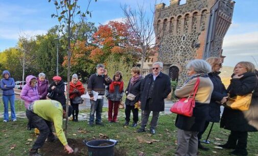 ROCCA DI PAPA, FESTA DEGLI ALBERI: MESSO A DIMORA NEI GIARDINI PUBBLICI UN  ALBERO DI TIGLIO