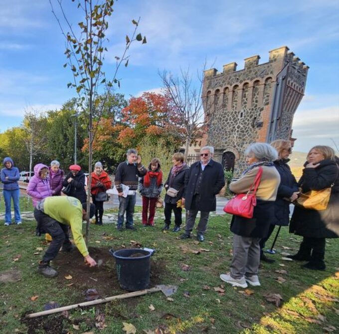 ROCCA DI PAPA, FESTA DEGLI ALBERI: MESSO A DIMORA NEI GIARDINI PUBBLICI UN  ALBERO DI TIGLIO