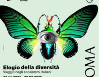    Elogio della diversità   Viaggio negli ecosistemi italiani