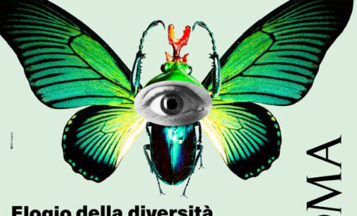    Elogio della diversità   Viaggio negli ecosistemi italiani