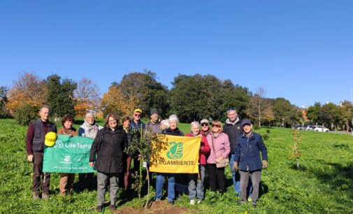 Roma nel quartiere Ottavia, sta nascendo una meravigliosa foresta urbana