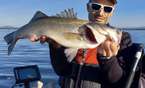 Orbetello – The Big One: la sfida alla spigola più grossa la vince Pietro Giuliano