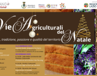 LE VIE AGRICULTURALI DEL NATALE