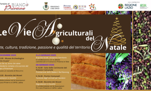 LE VIE AGRICULTURALI DEL NATALE