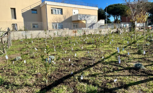 A LABARO PRIMO PROGETTO DI MICROFORESTA ECO – PEDAGOGICA  DEL TERRITORIO