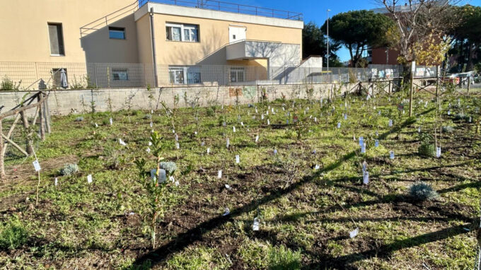 A LABARO PRIMO PROGETTO DI MICROFORESTA ECO – PEDAGOGICA  DEL TERRITORIO