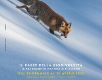 Il Paese della biodiversità. Il patrimonio naturale italiano